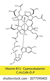 Vitamin B Cyanocobalamin Skeletal Structure Molecular Stock Vector