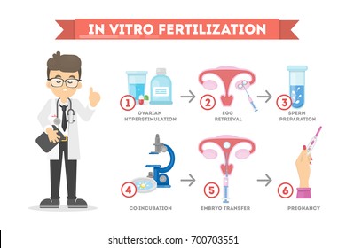 Vitro Fertilization Male Scientist Infographic Stock Vector Royalty