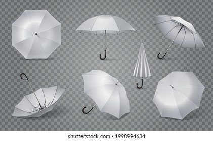 D Umbel Images Stock Photos Vectors Shutterstock