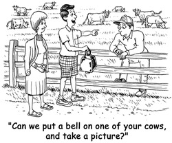 The tourists ask the farmer, "Can we put a bell on one of your cows, and take a picture?".