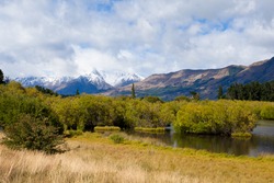 Wetland swamp in glacial Rees Dart river valley near Glenorchy with Mt Aspiring National Park, Southern Alps, vista backdrop forming an iconic New Zealand landscape
