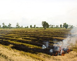 Fire was burning straw. Rice straw left over from the harvest was burned and global warming.
