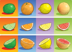 Old fashioned etched style illustration of various citrus fruit, depicted whole, sliced into a wedge, and sliced in half.