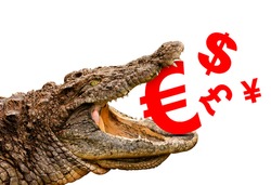 Money symbols (Euro, Dollar, Pound, Yen) eaten by crocodile for sale, crash or discount. Clipping path included! Ready for print or web page.