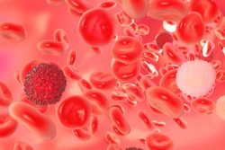 illustration of red blood cells , white blood cells, cancer cells, is flowing in veins tube