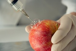 Sweet red apple in genetic engineering laboratory, gmo food concept.
