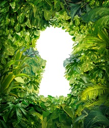 Out of the jungle as a nature concept of freedom and success from chaos and confusion with a thick green rain forest as a group of tropical plants in the shape of a blank white glowing key hole.