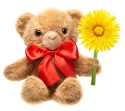 Classic teddy bear with red bow and flower isolated on white background.