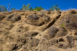 Uplifted pillow lava's outcropping near a road-section (Sierra Madre, Cuba). Pillow basalt forms due to the extrusion of lava under water resulting in characteristic pillow-shaped