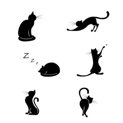Stock Images, Royalty-Free Images & Vectors | Shutterstock