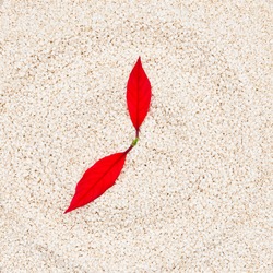 Time to start healthy eating habits concept. Sesame seeds and plant leaves as clock natural background.