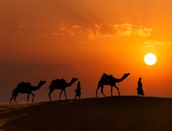 Rajasthan travel background - two indian cameleers (camel drivers) with camels silhouettes in dunes of Thar desert on sunset. Jaisalmer, Rajasthan, India