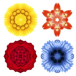 Abstract flowers isolated over white background.