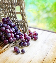 assortment of ripe sweet grapes in basket on sunny background/Grapes in the basket/ Summer Wine Season