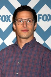 LOS ANGELES - JAN 13: Andy Samberg at the FOX TCA Winter 2014 Party at Langham Huntington Hotel on January 13, 2014 in Pasadena, CA