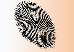 Black and White Vector Fingerprint - Very accurately scanned and traced ( Vector is transparent so it can be overlaid on other images, vectors etc.)