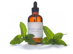 Spearmint leaves with extraction or essential oil in eyedropper bottle - Mentha spicata