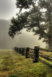 Beautiful old split rail fence and tree in foggy morning light in Blue Ridge Mountains in Autumn.