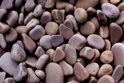Lake Michigan beach stones -- Door County, Wisconsin