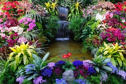 Flowers and waterfall inside the historic butchart gardens (over 100 years in bloom), vancouver island, british columbia, canada