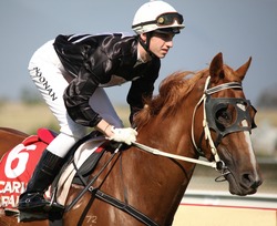 MELBOURNE - FEBRUARY 21: Just Elvis before the start of the Ritchies Communities Benefits Plate, won by Quantum Fire at Yarra Glen on February 21, 2010 near Melbourne, Australia.
