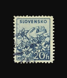 SLOVAKIA - CIRCA 1943: A stamp printed in Slovakia showing flowers circa 1943