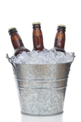 Beer Bottles in Ice Bucket isolated on white vertical composition with reflection