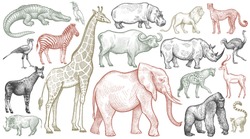 African animals set. Elephant, giraffe, buffalo, hippo, rhino, lion, cheetah, antelope, ostrich, hyena, lemur, gorilla, crocodile, bird Secretary, warthog, zebra, parrot, okapi. Vector illustration