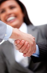 Smiling businesswoman looking at her partners shaking hands. Business concept.