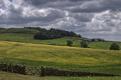 A Northumbrian farm beyond a traditional English hay meadow, with a gate & dry-stone-wall in the foreground