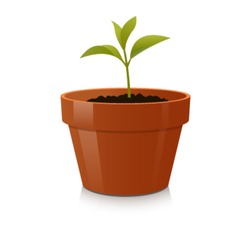 Sprout in Pot. Vector illustration. The concept of growth and be handled with care