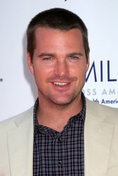 LOS ANGELES - AUG 10: Chris O'Donnell at the "Chews" To Smile Rooftop Carnival at The London West Hollywood Hotel on August 10, 2010 in West Hollywood, CA