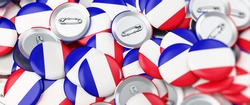 Parliamentary and presidential elections in France 2017 on a white background 3D illustration