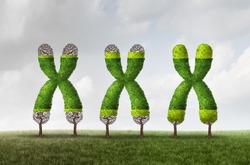 Telomere growth and longer length as a DNA medical concept as a chromosome tree with growing end caps as a symbol for aging and genetic protection for longer life or longevity with 3D illustration.