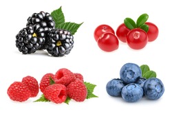 Set of beautiful fruits ( blackberries, cranberries, raspberries, blueberries)