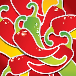 Background from colorful chili peppers with the drops of water. Vector illustration.