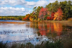 Autumn At Somes Pond, Mount Desert Island, Acadia National Park, Maine, USA