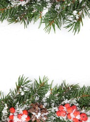 Christmas green framework with snow and holly berry isolated on white background