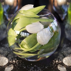the dining table was decorated with the tulip flower for the romantic time. Tulips inside of vase
