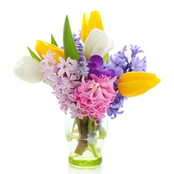 Beautiful spring flowers isolated on white background(crocus, hyacinth, tulip)