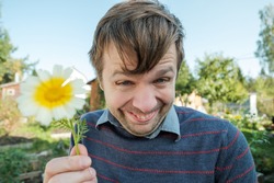 Funny young man smiles silly and gives a daisy. Trying to charm a girl by giving a flower