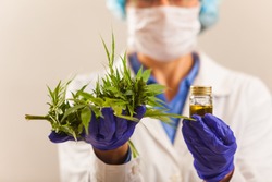doctor hand hold and offer to patient medical marijuana and oil. Cannabis recipe for personal use, legal light drugs prescribe, alternative remedy or medication,medicine concept