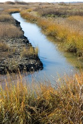 Tidal marshland in the late fall, with autumn colors.