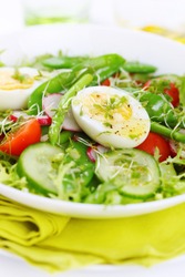 Summer salad of tomatoes, cucumbers, asparagus, young green peas dressed with olive oil and watercress salad
