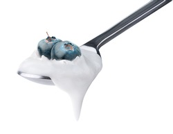 Isolated yogurt. Spoon of natural yogurt with fresh blueberries on top isolated on white background