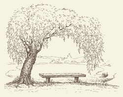 Vector illustration. Landscape sketch of the village form of the old wooden bench under a willow tree by the lake
