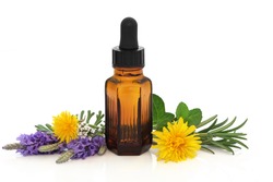 Lavender, rosemary, mint and dandelion flower and herb leaf sprigs with essential oil brown glass bottle, isolated over white background. Herbs for skincare.