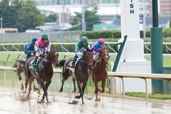 LOUISVILLE, KY - JUNE 18: Stephen Foster Day at Churchill Downs horse race track June 18, 2011 in Louisville, KY. Finish of The Chuck Evans Memorial Race
