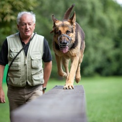 Master and his obedient (German Shepherd) dog at a dog training center