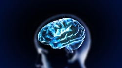 the crystal brain inside the head graphic for medical and biology concept
